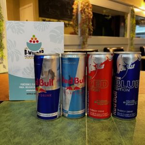 Red Bull Energy Drink